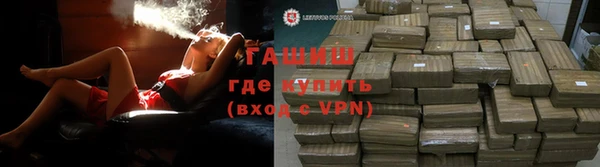 соль ск Новозыбков