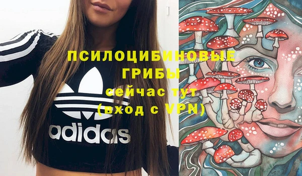 соль курить ск Алзамай